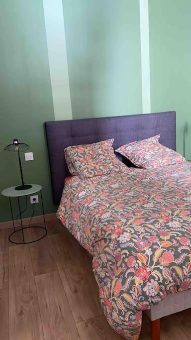 אנז'ה Appartement Cosy Hyper Centre, Tres Tranquille מראה חיצוני תמונה